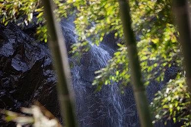 《第一狂战士：卡赞》通过ESRB评级 包含血腥暴力元素