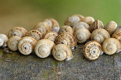 《消逝的光芒2》开启周末双倍经验活动